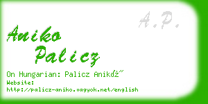 aniko palicz business card